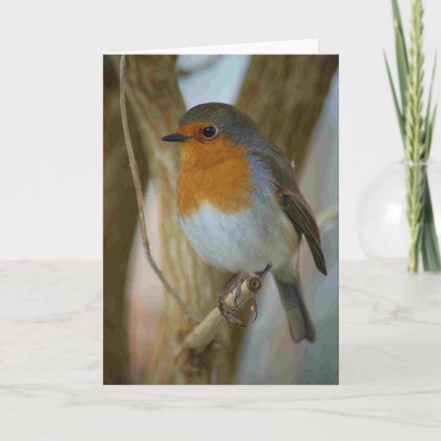 Robin Redbreast Holiday Card (Front)
