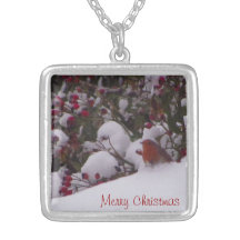 Robin Redbreast in the Snow