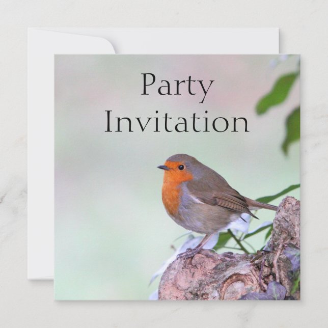 Robin Redbreast Invitation (Front)