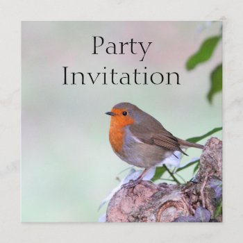 Robin Redbreast Invitation by Welshpixels at Zazzle