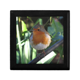 Robin Redbreast Keepsake Box