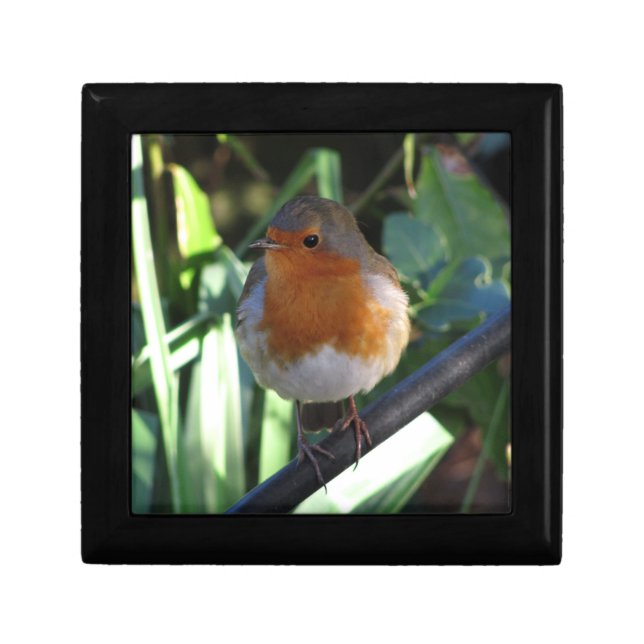 Robin Redbreast Keepsake Box (Front)