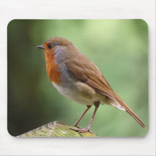 Robin Redbreast Mouse Mat