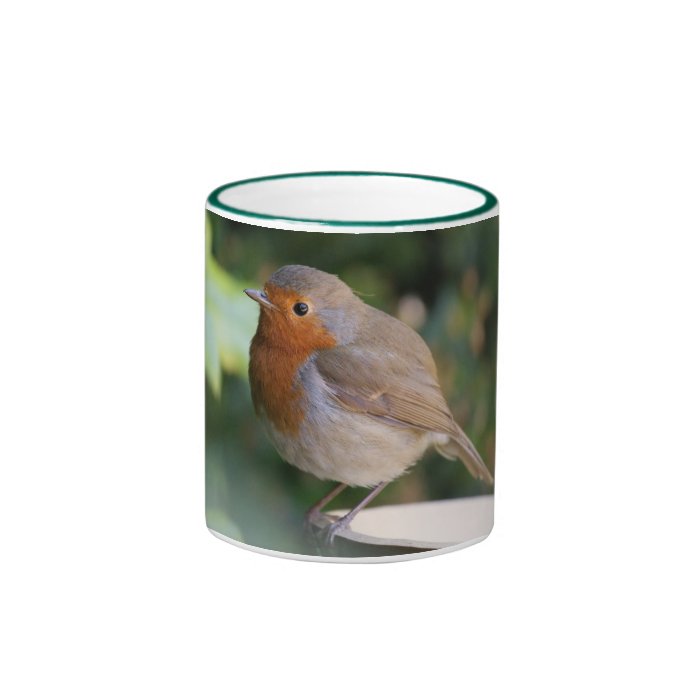 Robin Redbreast Mug