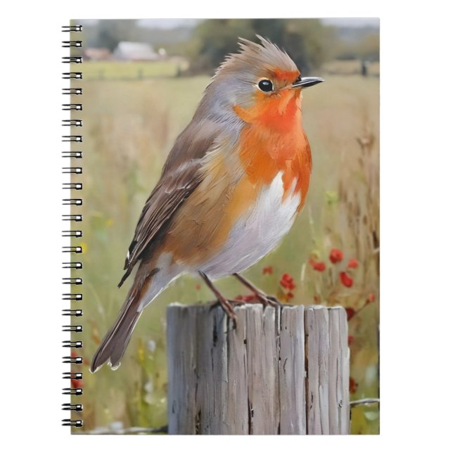Robin Redbreast Notebook  (Front)