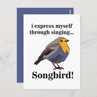 Robin Redbreast Songbird