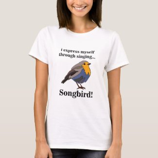 Robin Redbreast Songbird