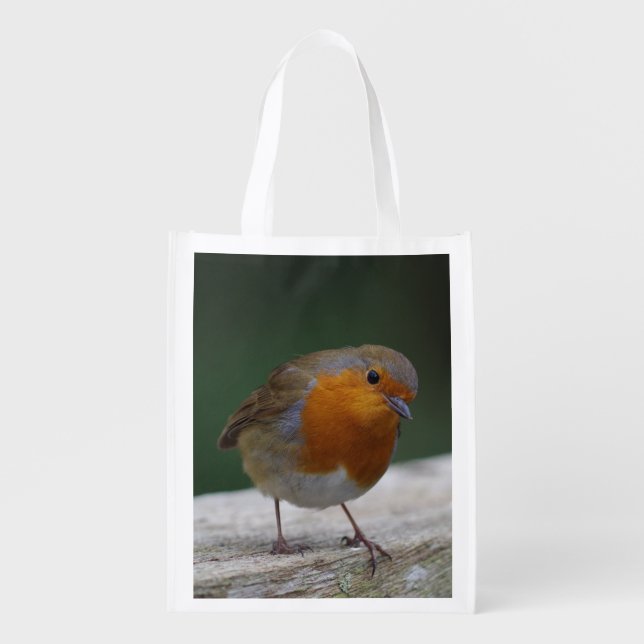 Robin Reusable Bag (Front)