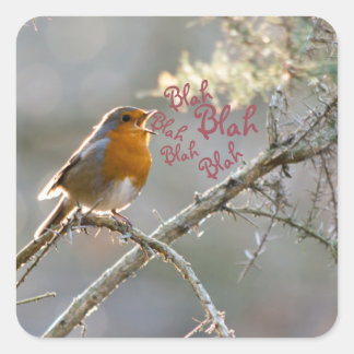 Robin singing in a tree square sticker