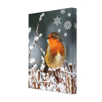 Robin Songbird  with Snowflakes Canvas Print