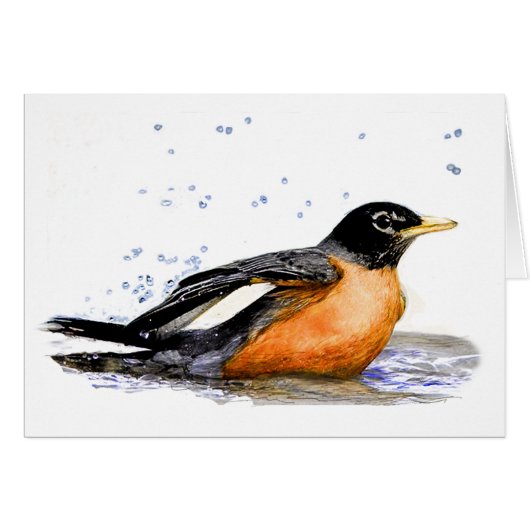 Robin Taking a Bath (Front Horizontal)