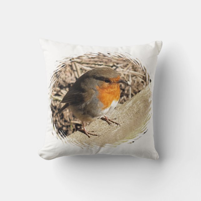 ROBIN THROW PILLOW (Front)