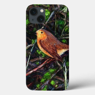 Robin Tweet tweet iPhone 13 Case