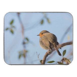 Robin Wildlife photo Jigsaw Puzzle