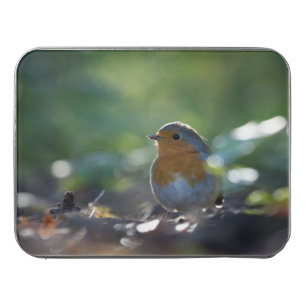 Robin Wildlife photo Jigsaw Puzzle