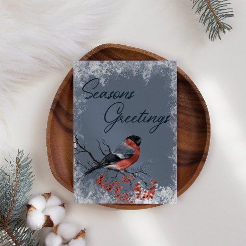 Robin Winter Birds Business Christmas Holiday Card