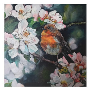 Robin with cherry blossom acrylic print