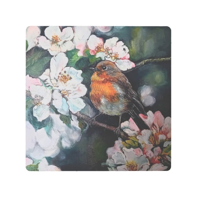Robin with cherry blossom metal print (Front)
