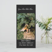 Robin with Chicks (Standing Front)