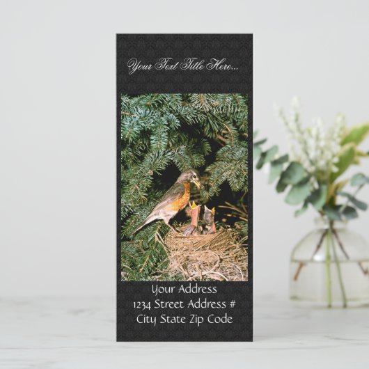 Robin with Chicks (Standing Front)