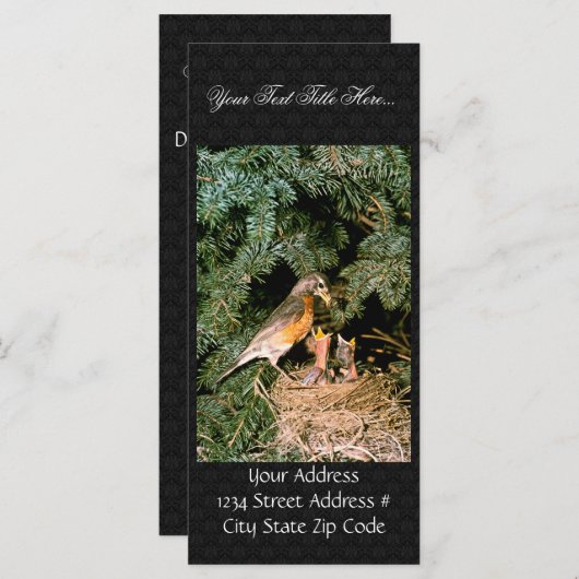 Robin with Chicks (Front/Back)