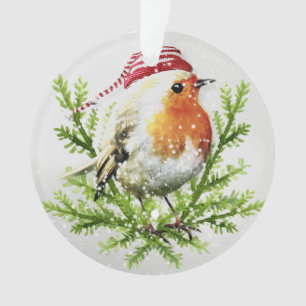 Robin with Santa Hat and Snow Ornament