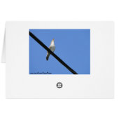 Robin & Wren, Joyful Noise Cards (Back Horizontal)