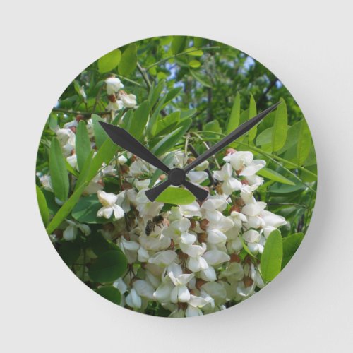 Robinia  white tree  inflorescence round clock