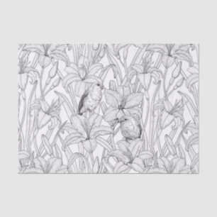 Robins and lilly flowers, black and white tissue paper