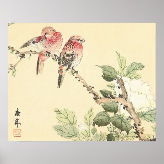 Robins and Peony japanese vintage flower birds art Poster