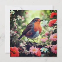 Robins Appear When Loved Ones Are Near