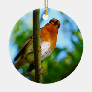ROBINS CERAMIC ORNAMENT