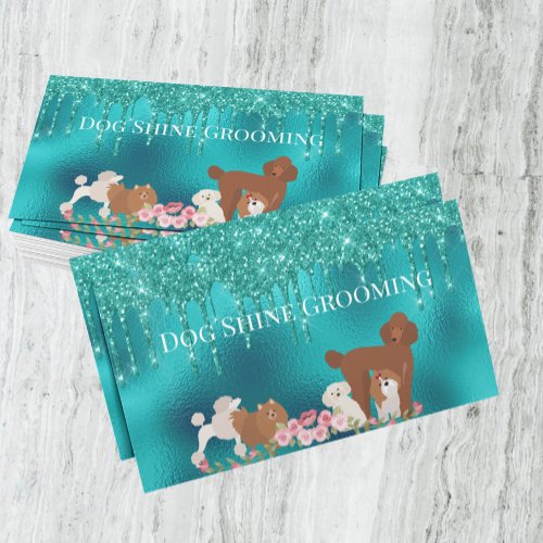 Robins Egg Blue Dog Grooming Appointment Card