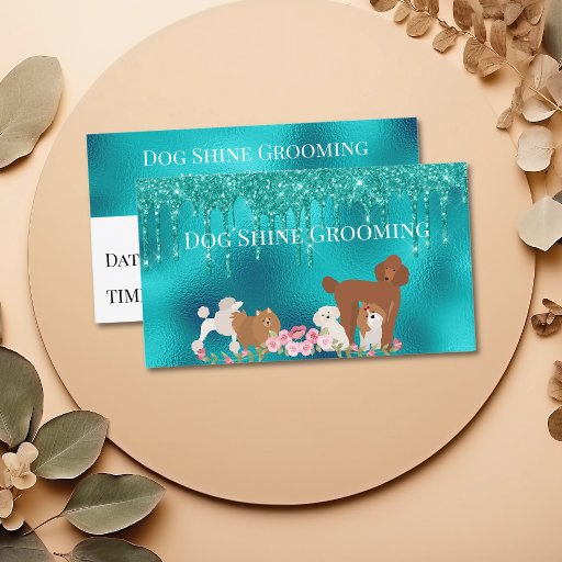 Customizable Robin's Egg Blue Dog Grooming Appointment Card 