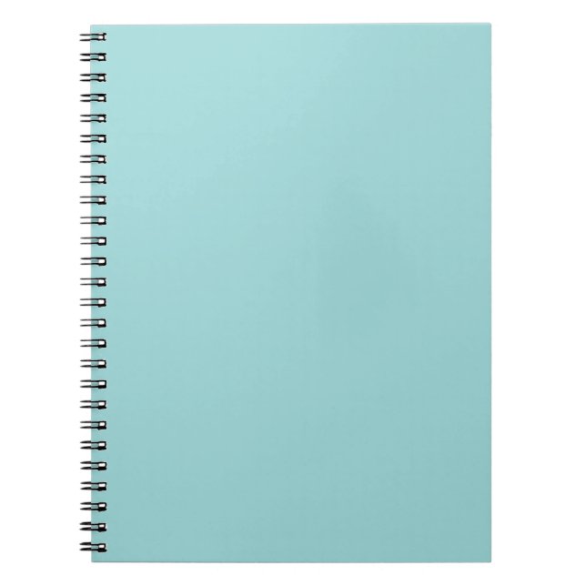 Robin's Egg Blue Notebook (Front)