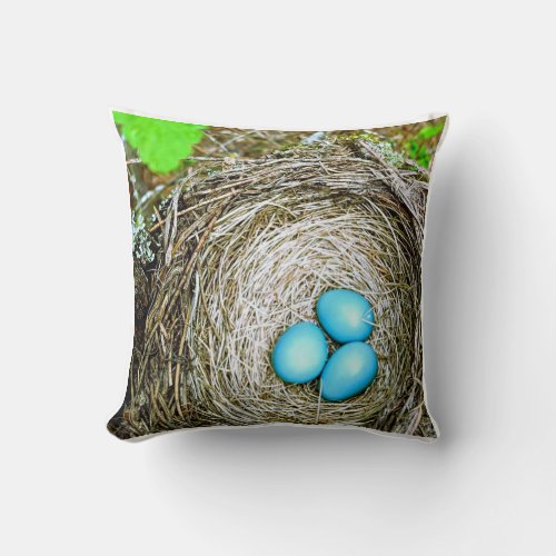 Robins Eggs Throw Pillow