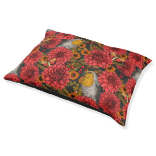Robins in the autumn garden, red dahlias on black pet bed