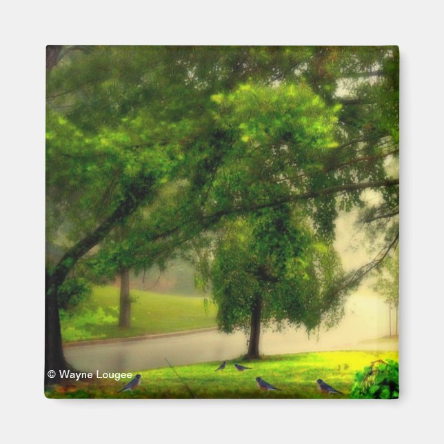 Robins on the Lawn Magnet (Front)