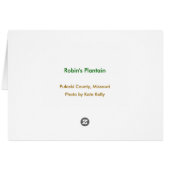 Robin's Plantain (Back Horizontal)