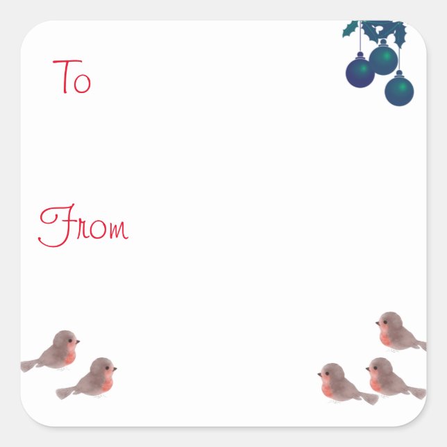 Robins Square Sticker (Front)