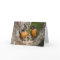 Robins V Greeting Card