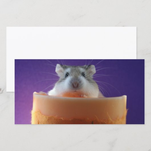 Roborovksi Hamster Photo Card (Front/Back)