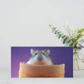 Roborovksi Hamster Photo Card (Standing Front)