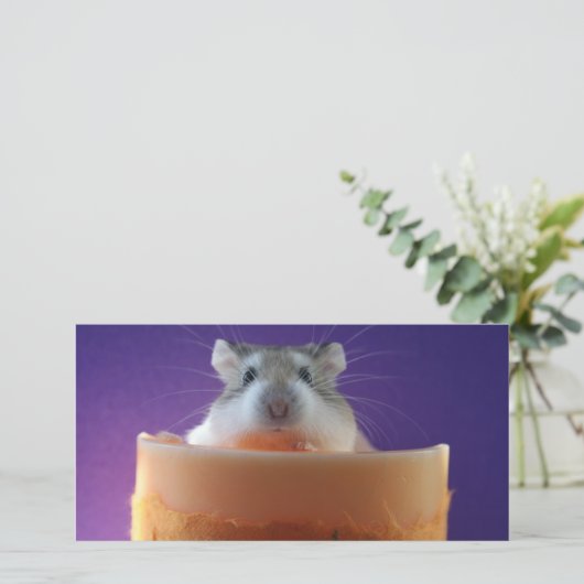 Roborovksi Hamster Photo Card (Standing Front)
