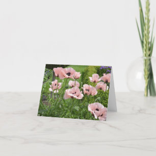 Roche Harbor Poppies Letterpress Thank You Card