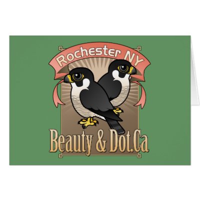 Rochester Beauty &amp; Dot.Ca
