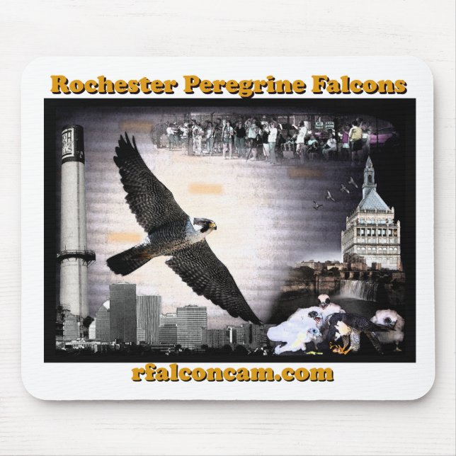 Rochester falcons mousepad (Front)