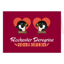 Rochester Peregrine Soap Opera Greeting Card