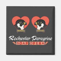 Rochester Peregrine Soap Opera Square Magnet