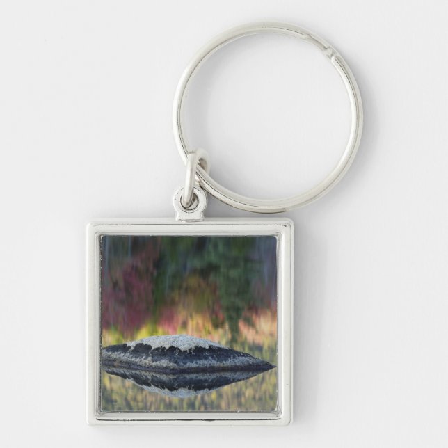 Rock and tree reflection, Lily Pond, White Keychain (Front)